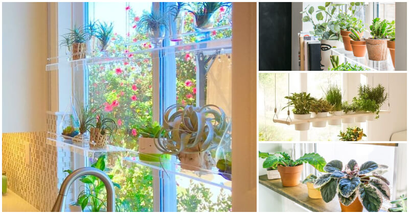 20 neat indoor plant shelving ideas