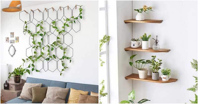 26 creative ideas to make your home greener