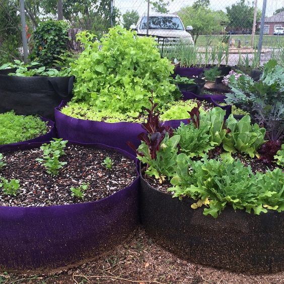 15 recycling ideas for DIY raised beds - 79