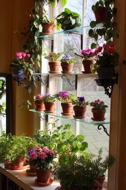 20 neat indoor plant shelving ideas - 139