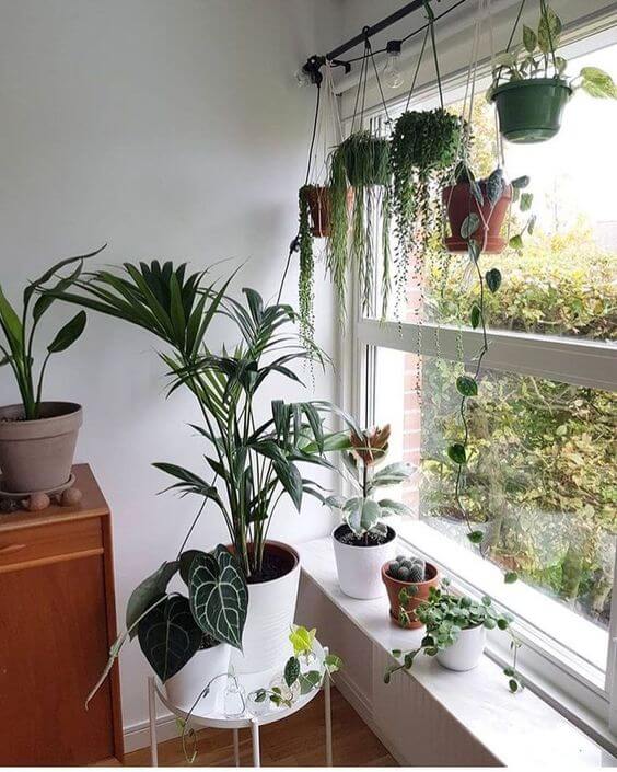 20 neat plant shelf ideas for interior windows - 147