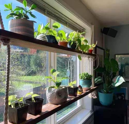 20 neat indoor plant shelving ideas - 153