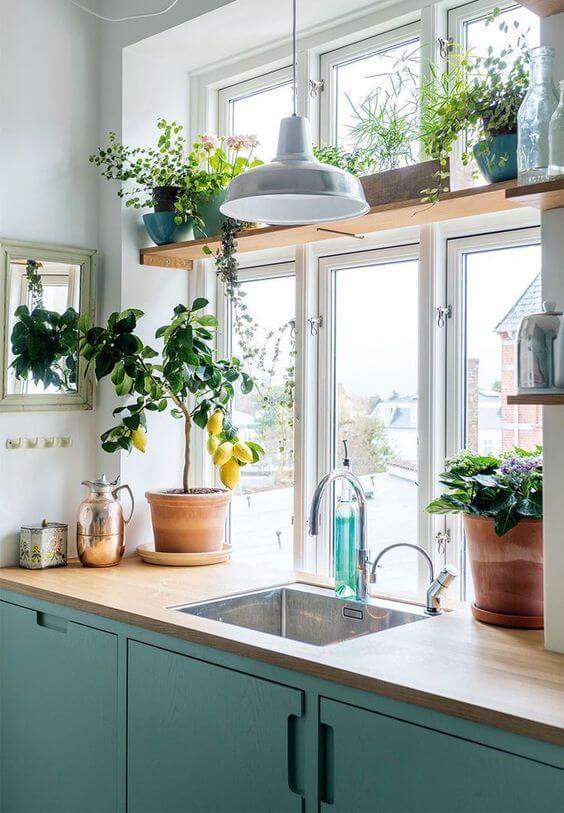 20 neat indoor plant shelves ideas - 163