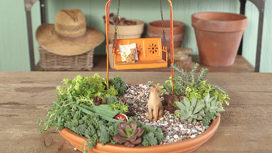 14 great little garden ideas to place on your tabletop - 73