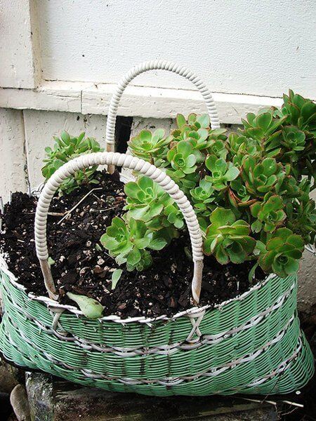 25 low budget garden containers and pot ideas - 187