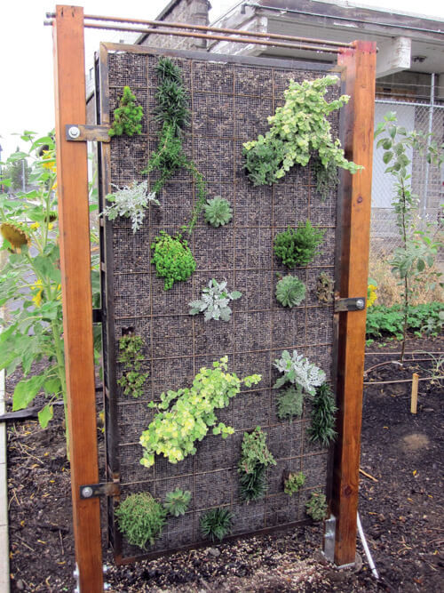 37 beautiful vertical garden ideas to decorate your patio - 233
