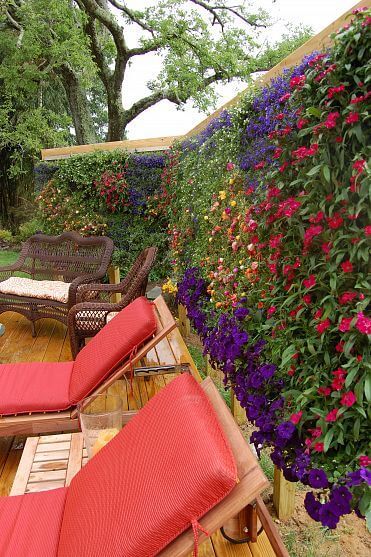 37 beautiful vertical garden ideas to decorate your patio - 259