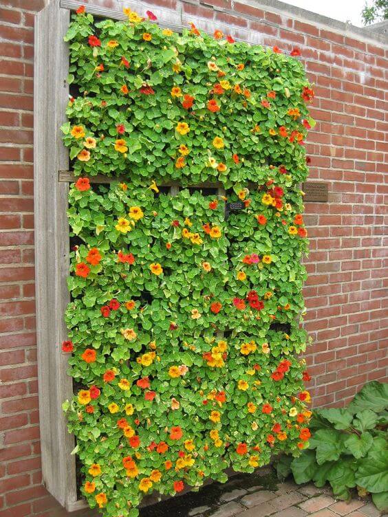 37 beautiful vertical garden ideas to decorate your patio - 283