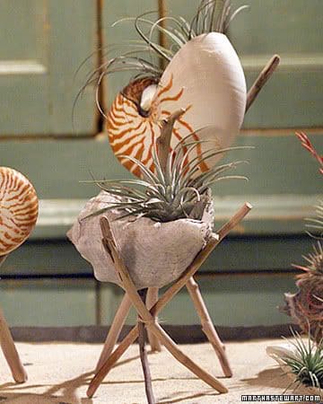 17 DIY Seashell Planter Ideas - 69