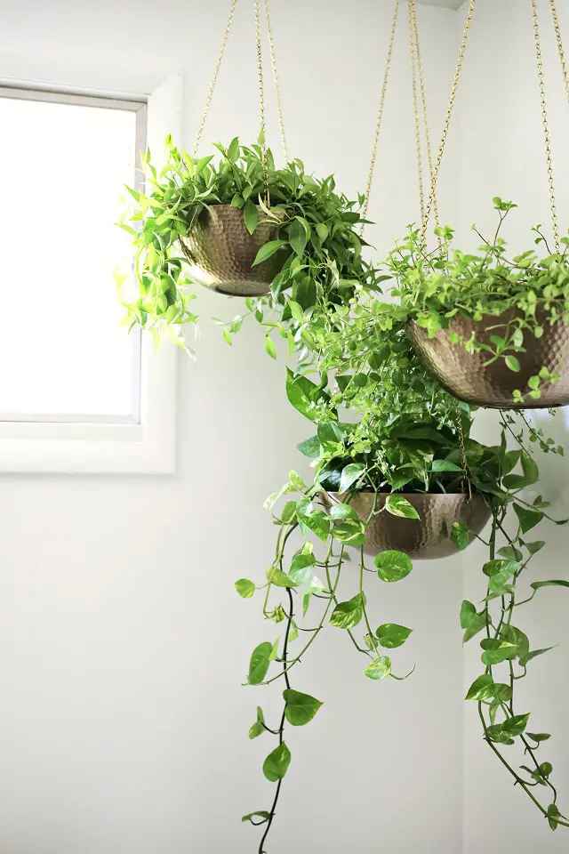 15 Unique DIY Hanging Planter Ideas - 85