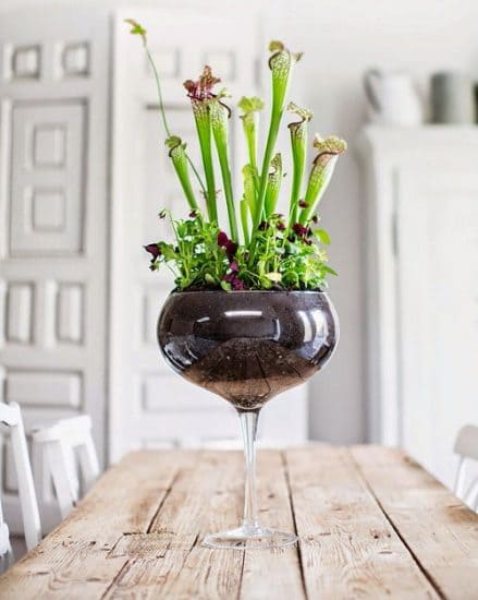 Wine Glass Terrarium Ideas for Mini Indoor Gardens - 73