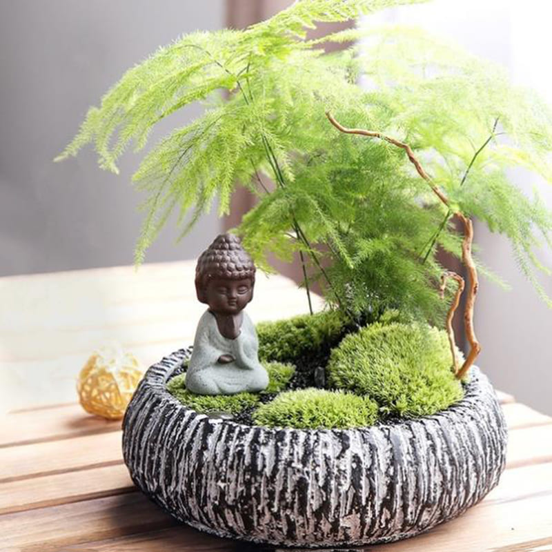 14 great little garden ideas to place on your tabletop - 69