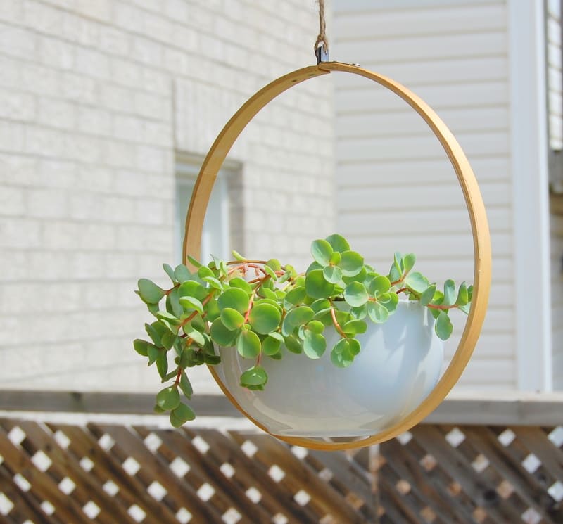 22 ideas for DIY hanging plants to decorate your house - 67