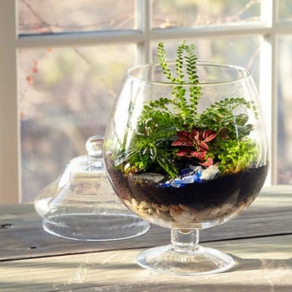 Wine Glass Terrarium Ideas for Mini Indoor Gardens - 69