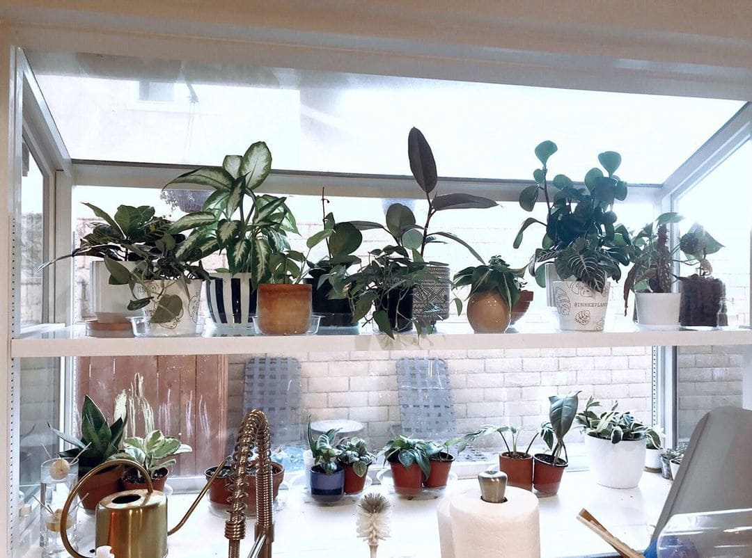 30 Stunning Indoor Garden Trends You'll Be Following This Year - 121