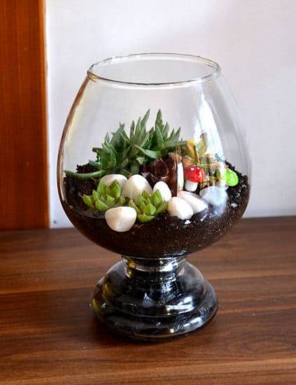 Wine Glass Terrarium Ideas for Mini Indoor Gardens - 79