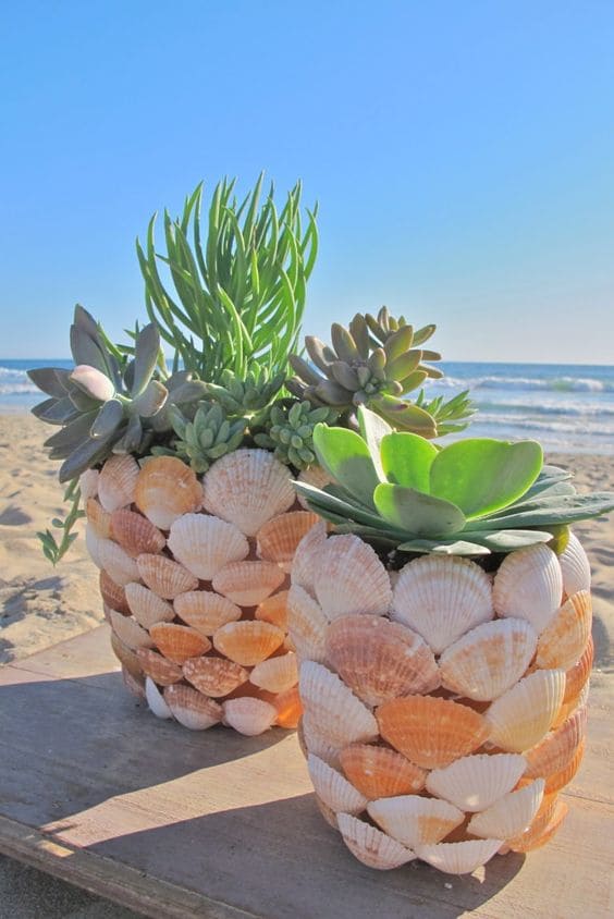 17 DIY Seashell Planter Ideas - 75