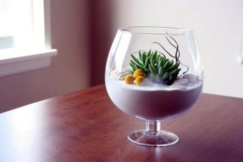 Wine Glass Terrarium Ideas for Mini Indoor Gardens - 67