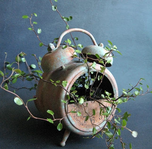 18 vintage styles to decorate your house with plants - 71