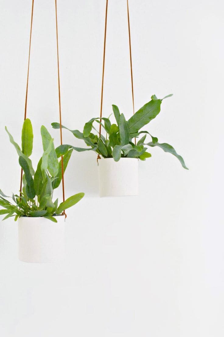22 ideas for DIY hanging plants to decorate your house - 75