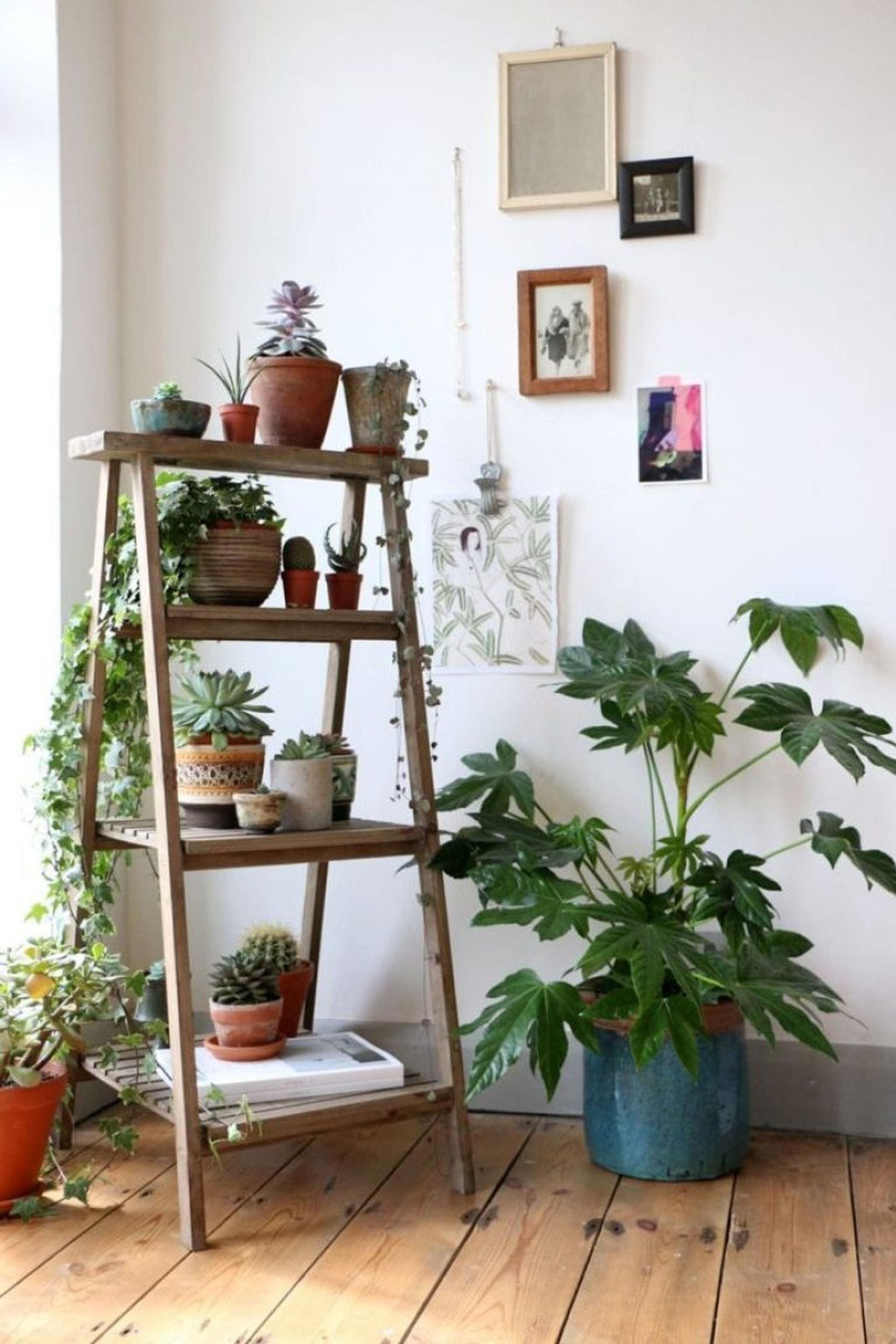 15 Stunning Indoor Ladder Planters Ideas For Your Home - 81