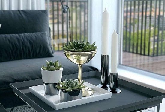 19 indoor plants that are great to place on the coffee table - 69