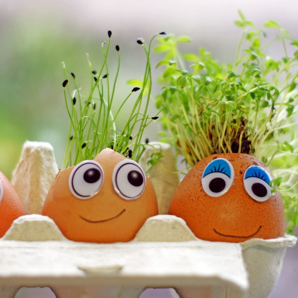 13 Cool DIY Eggshell Planters - 73