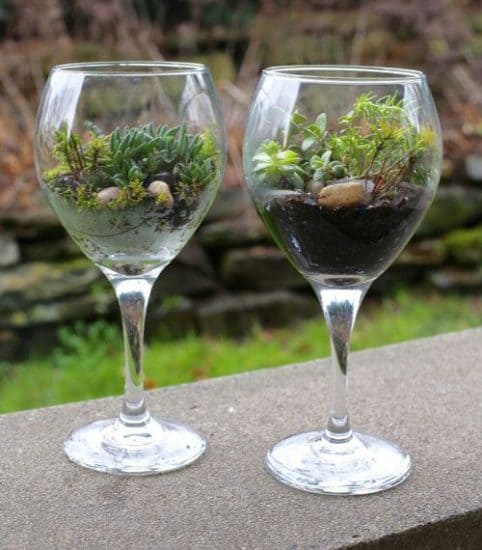 Wine Glass Terrarium Ideas for Mini Indoor Gardens - 75