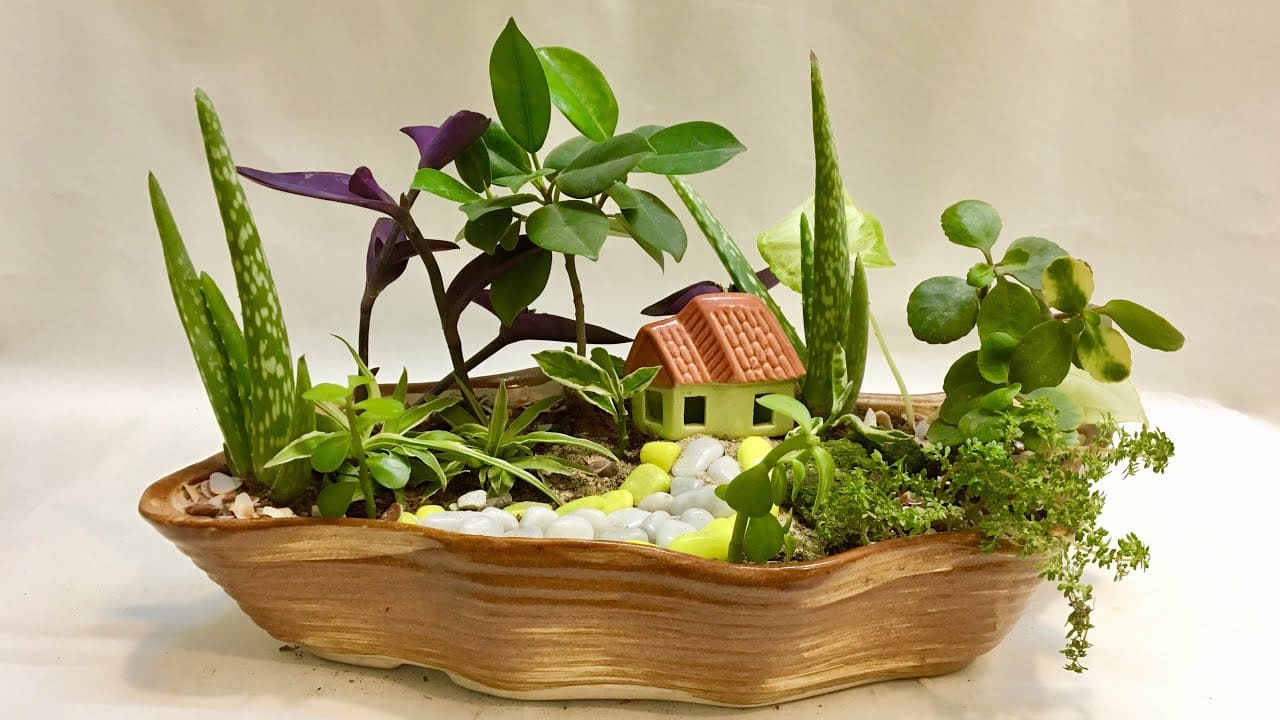 14 great little garden ideas to place on your tabletop - 77