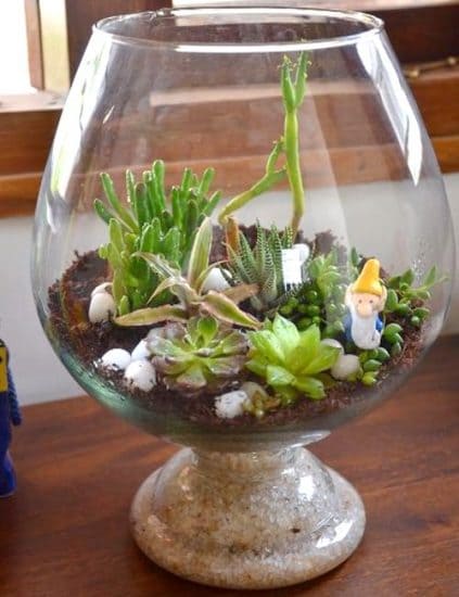 Wine Glass Terrarium Ideas for Mini Indoor Gardens - 77