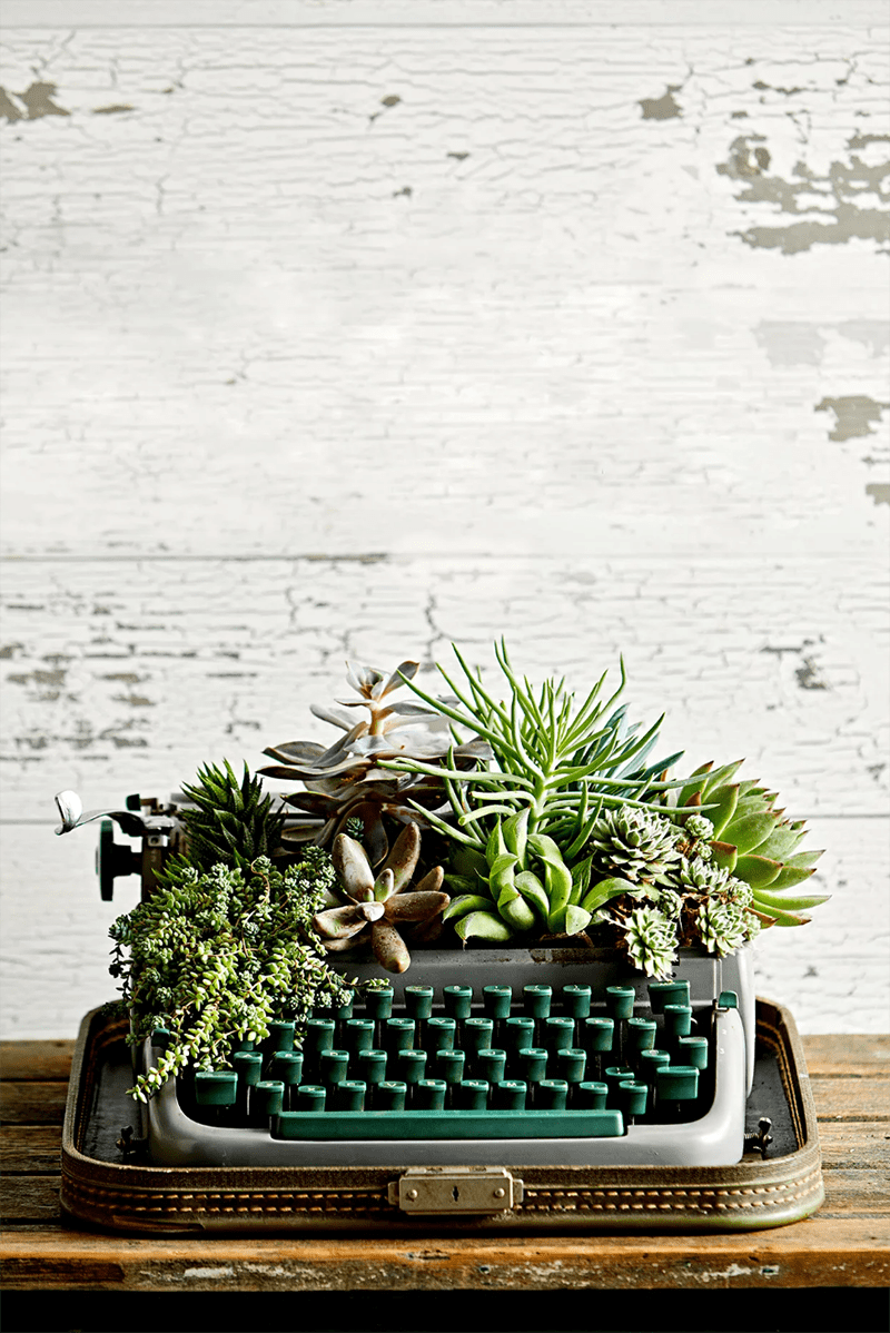 18 vintage styles to decorate your house with plants - 67