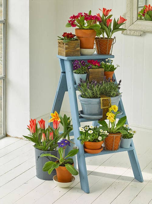 15 Stunning Indoor Ladder Planters Ideas For Your Home - 67