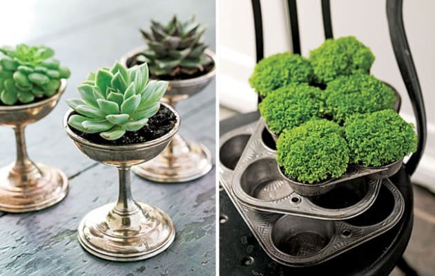 18 vintage styles to decorate your house with plants - 75