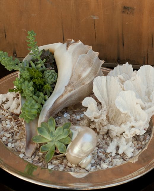 17 DIY Seashell Planter Ideas - 77