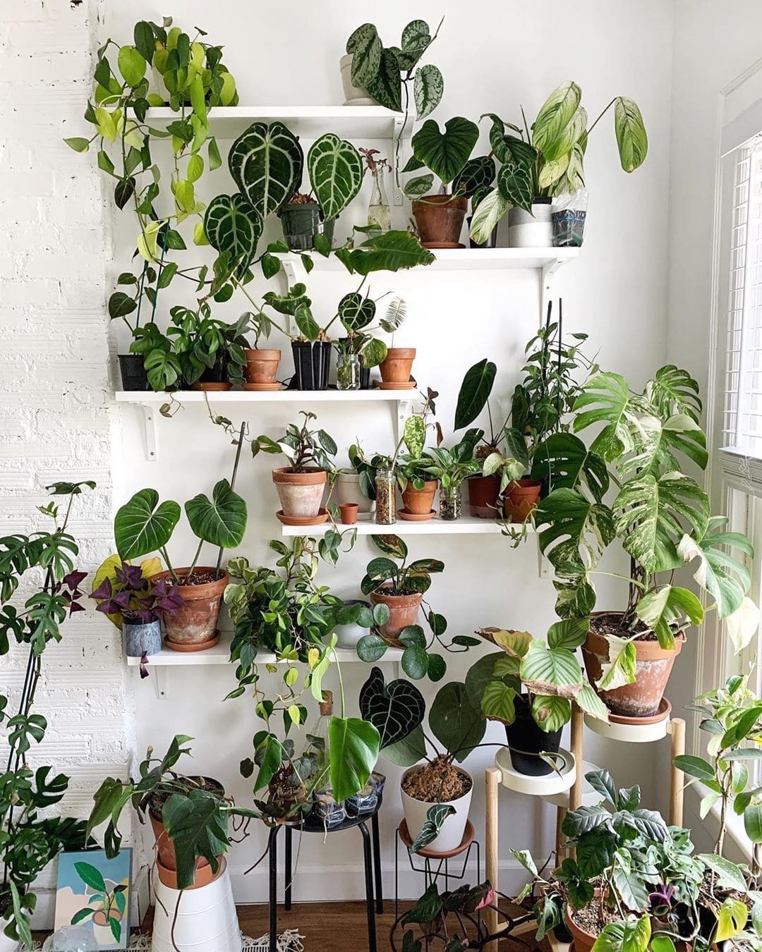 26 creative ideas to make your home greener - 81