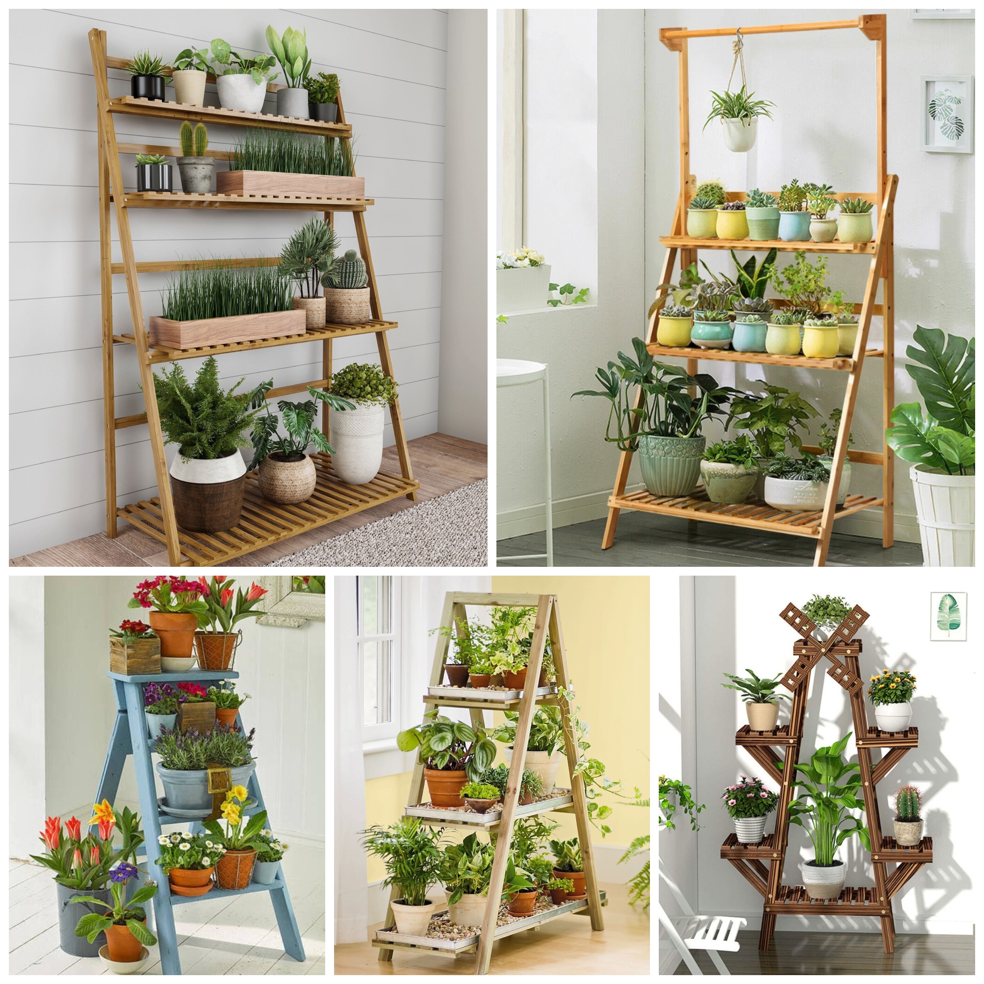 Impressive Indoor Ladder Planter Ideas For Your House