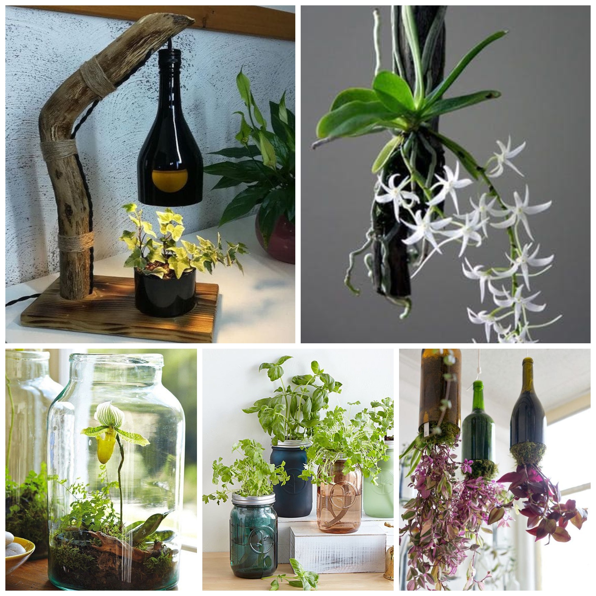 DIY Bottle Ideas To Decorate Your Home