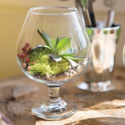 Wine Glass Terrarium Ideas for Mini Indoor Gardens - 81