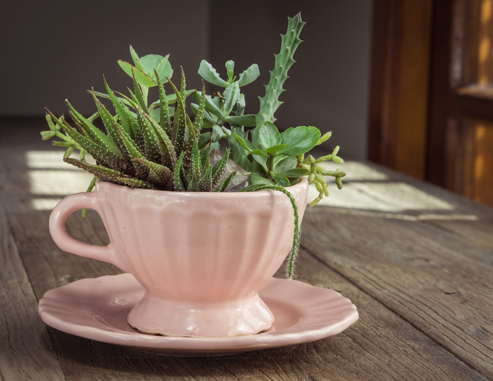 18 vintage styles to decorate your house with plants - 77