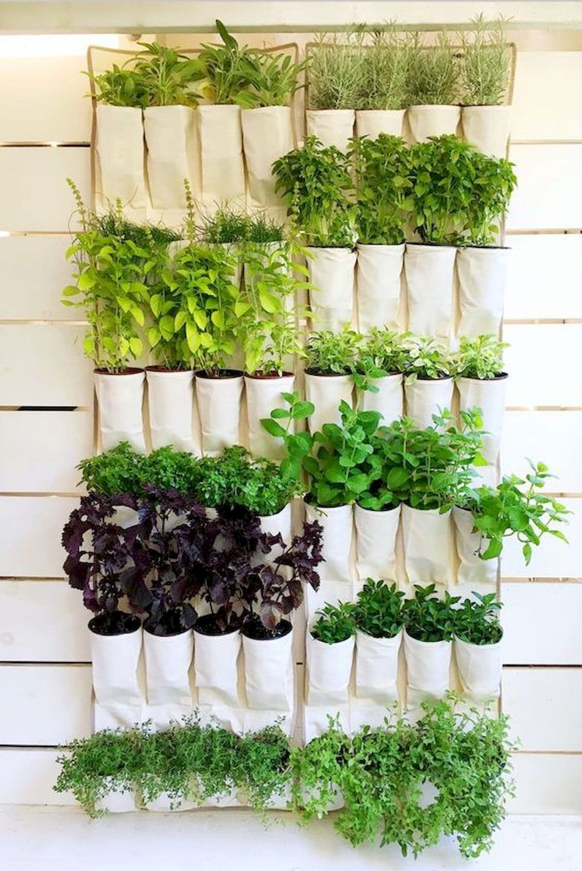 26 creative ideas to make your home greener - 85