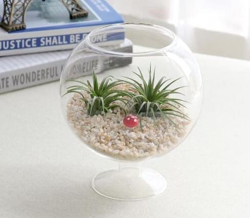 Wine Glass Terrarium Ideas for Mini Indoor Gardens - 83