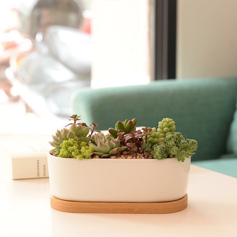 14 great little garden ideas to place on your tabletop - 67