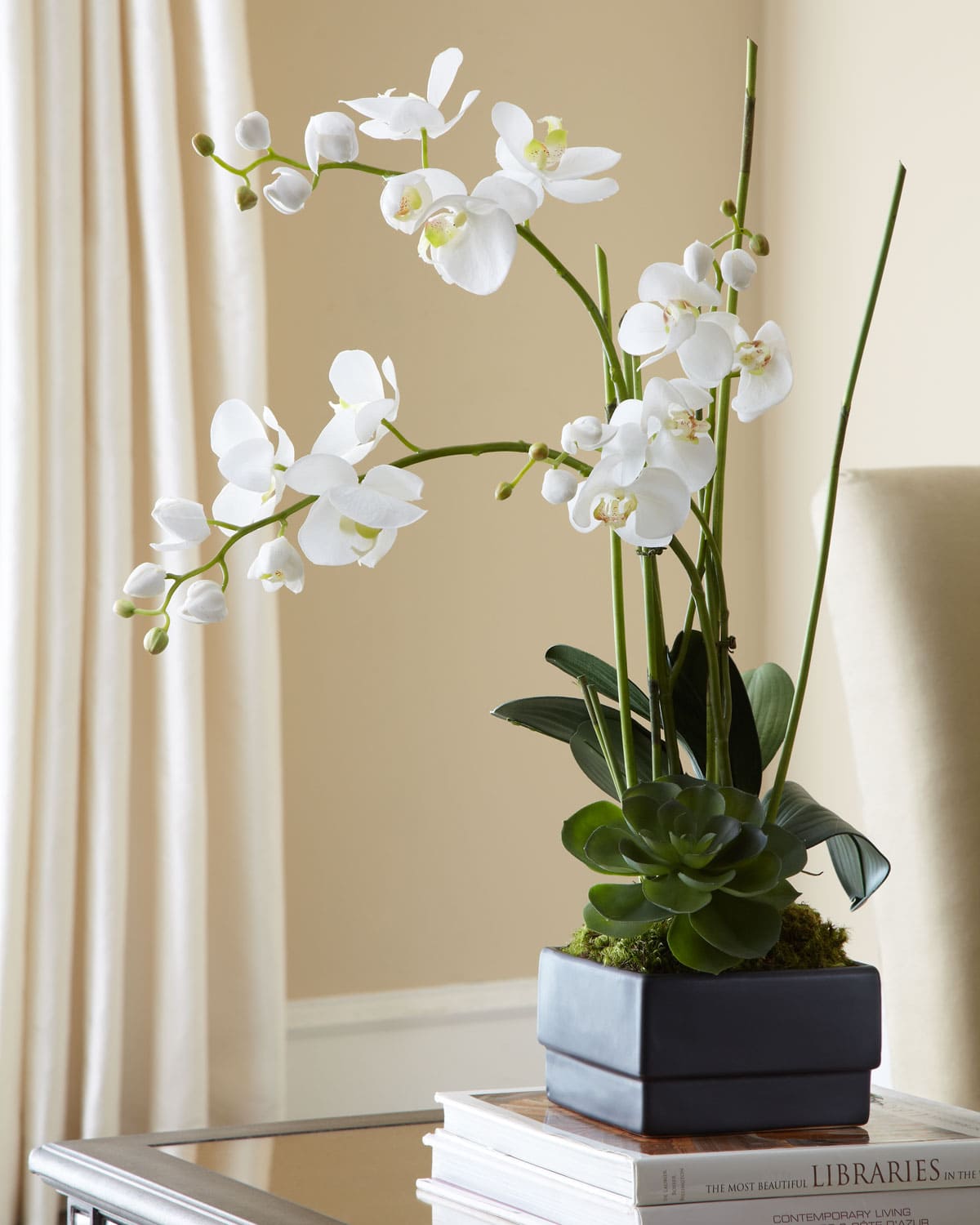 18 most attractive indoor plants to decorate your house - 69