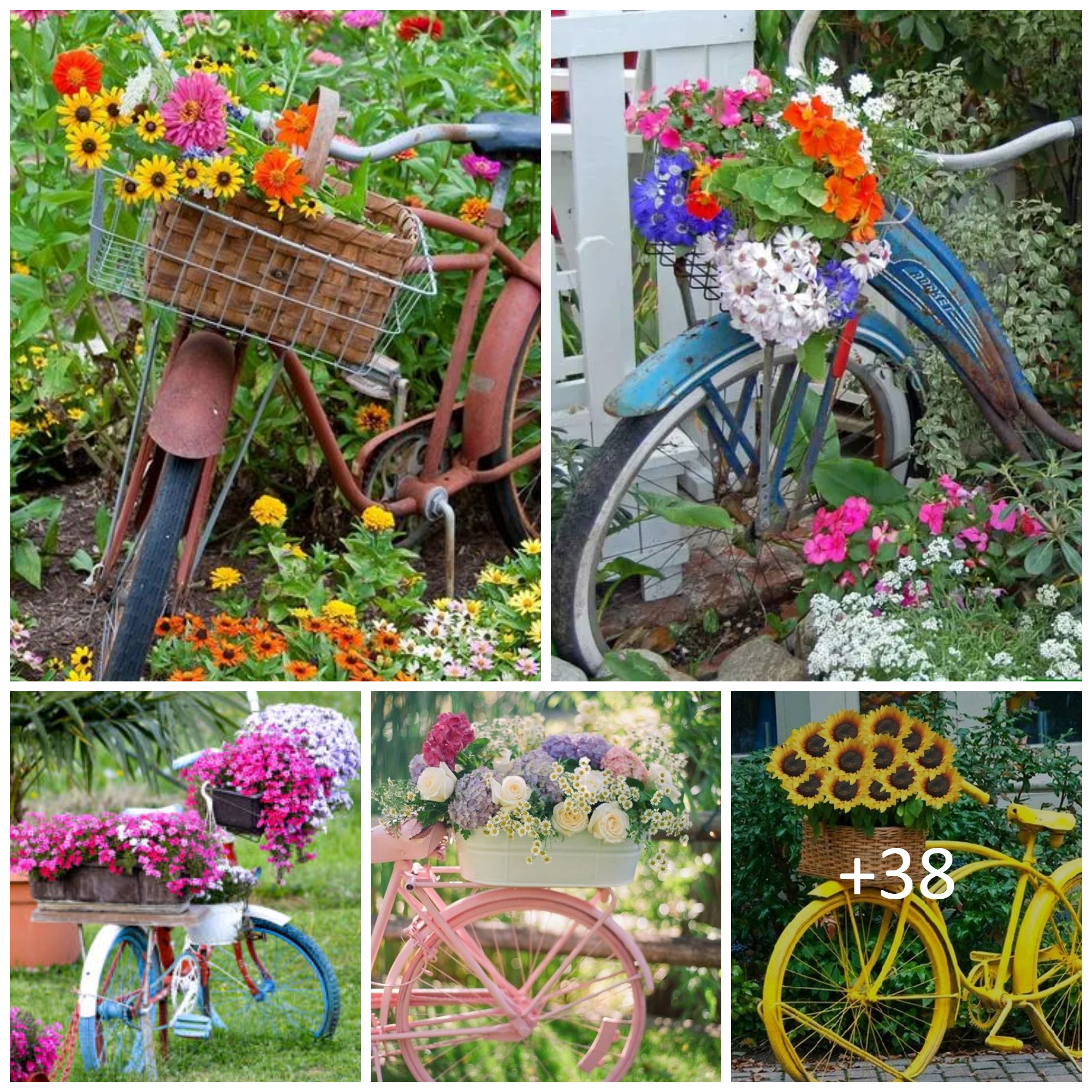 Creative and Whimsical Bicycle Planters for your Garden
