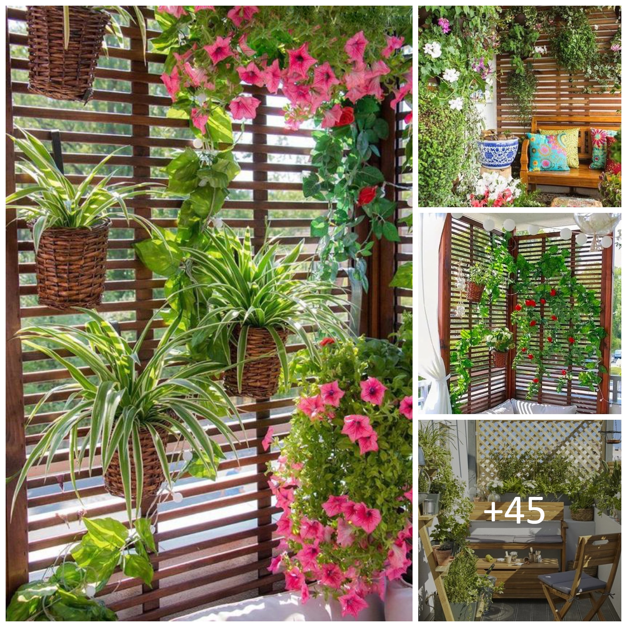 Hanging balcony plants and blooming flowers for a spectacular exterior