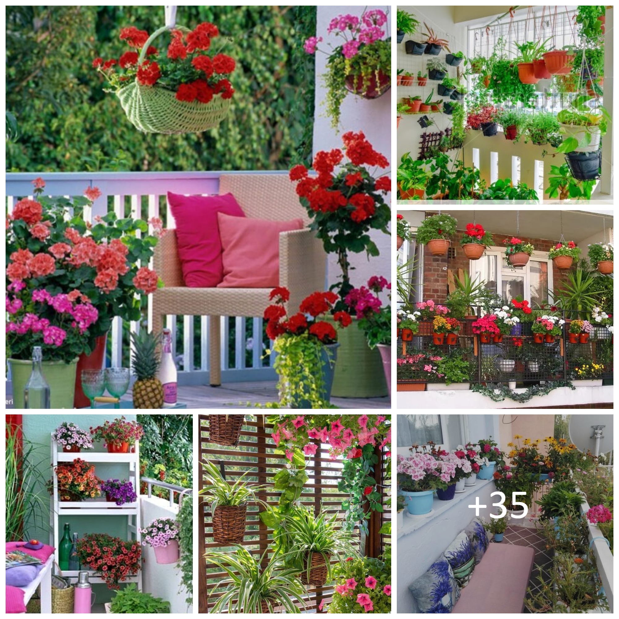 Tips to Start a Balcony Flower Garden