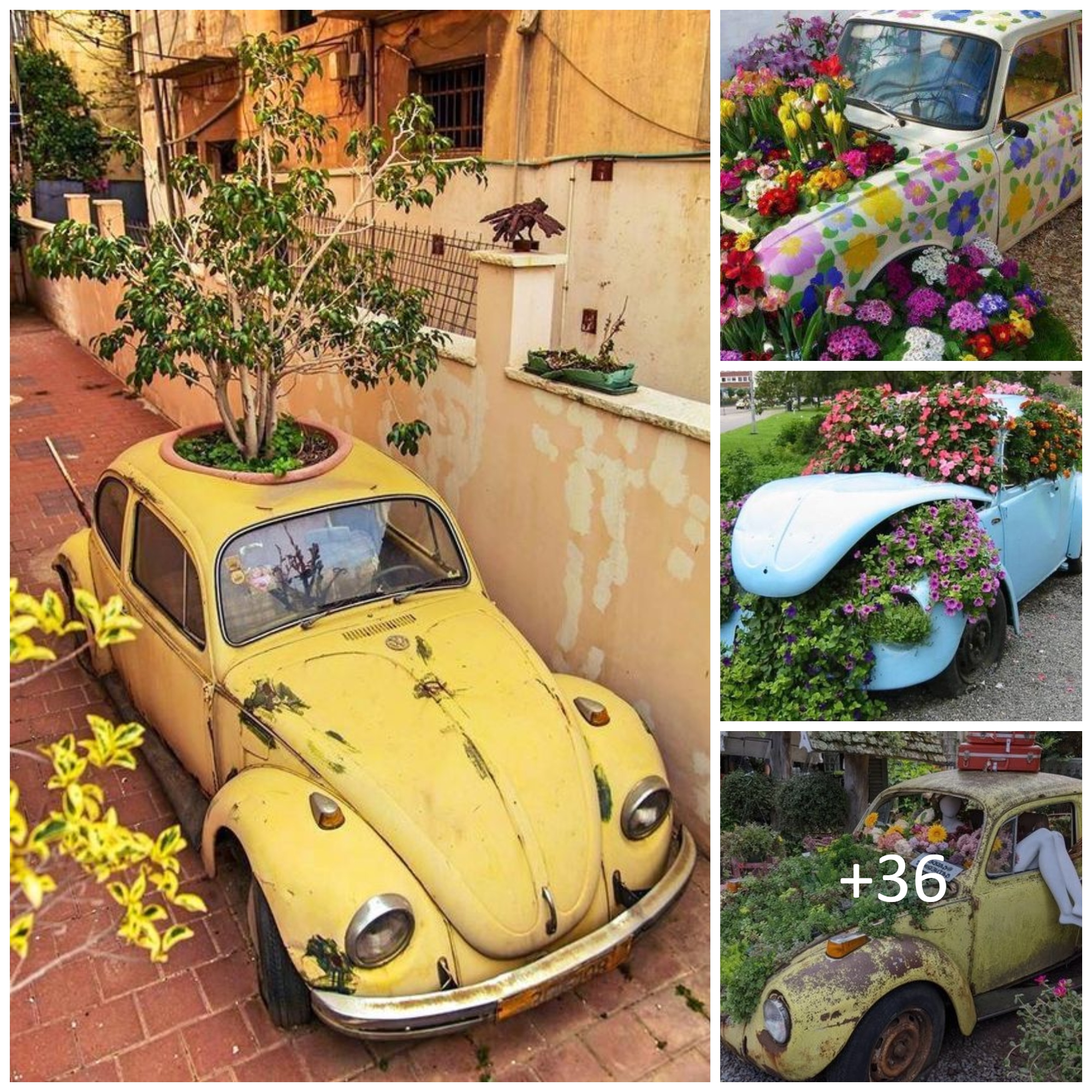 Awesome DIY Old Car Gardens