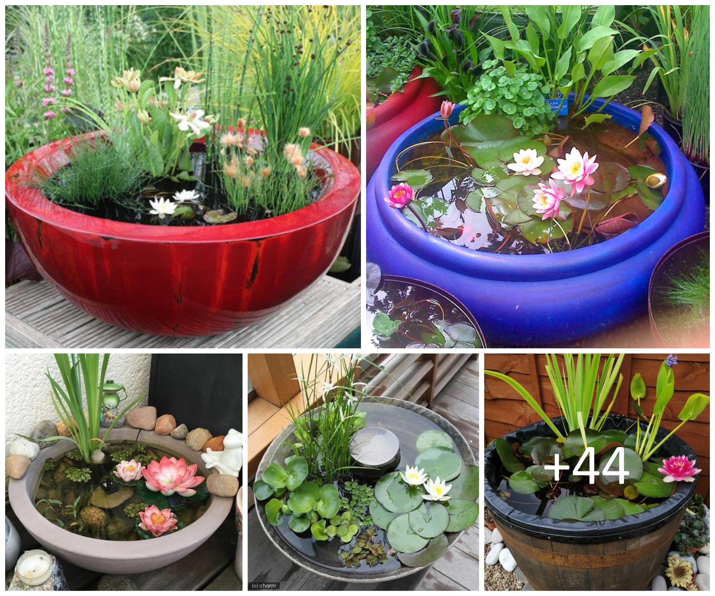 Charming Mini Water Garden Ideas