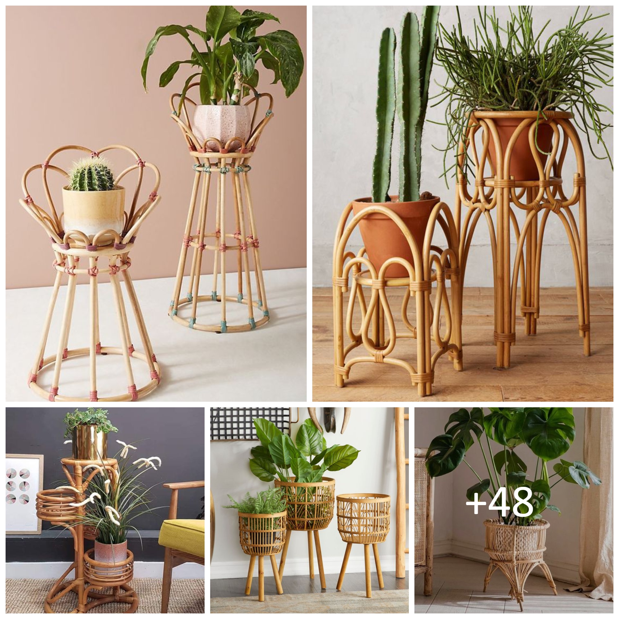 Rattan Planters to Show Off Your Plants in Style