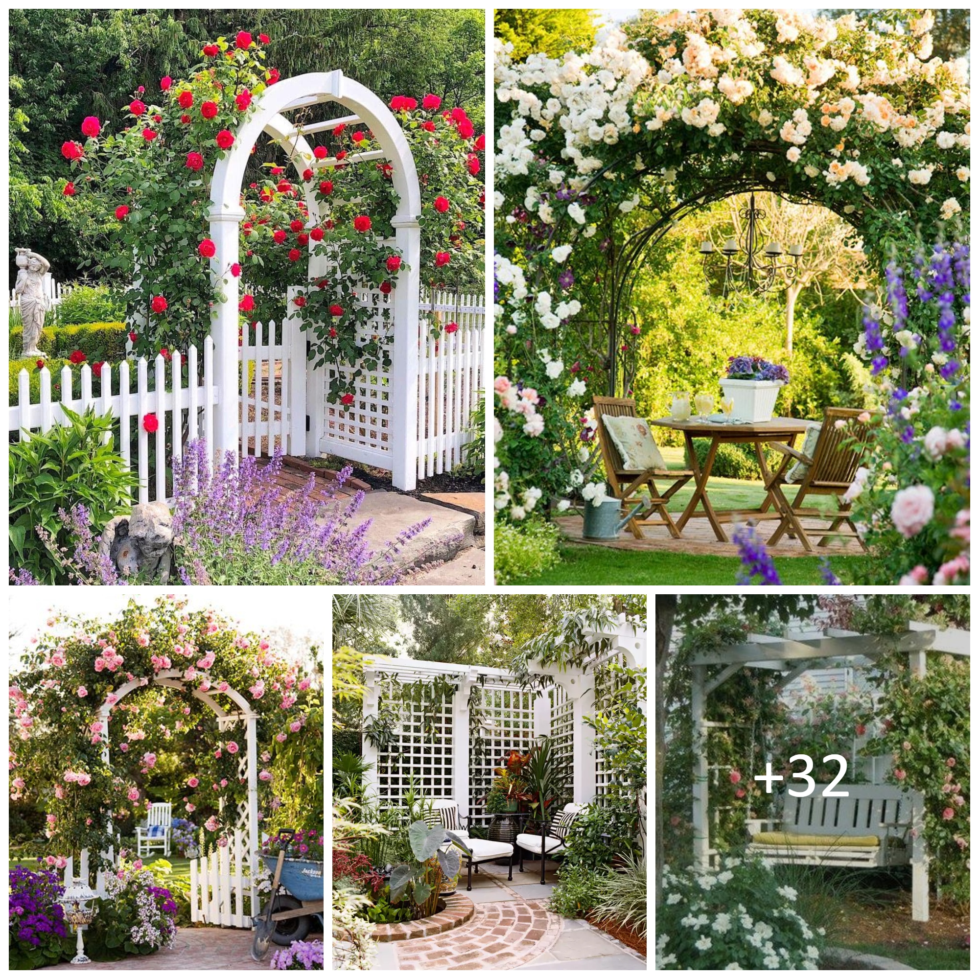 Trellis Ideas to Turn Your Yard into a Private Escape